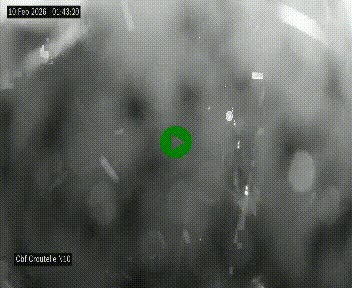 <h2>Webcam routière au début de la N10, au sud de Poitiers, proche de la jonction avec l'A10</h2>