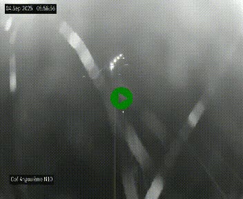 <h2>Webcam routière à la fin de la N10, en périphérique ouest d'Angouleme, proche de la jonction avec l'A10</h2>
