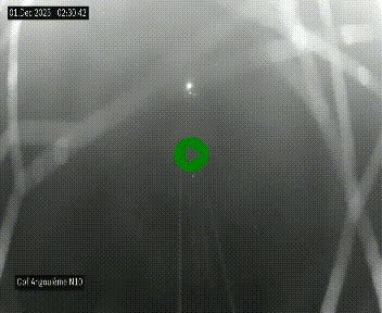 <h2>Webcam routière à la fin de la N10, en périphérique ouest d'Angouleme, proche de la jonction avec l'A10</h2>