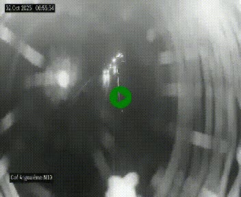 <h2>Webcam routière à la fin de la N10, en périphérique ouest d'Angouleme, proche de la jonction avec l'A10</h2>