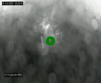 <h2>Webcam routière à la fin de la N10, en périphérique ouest d'Angouleme, proche de la jonction avec l'A10</h2>