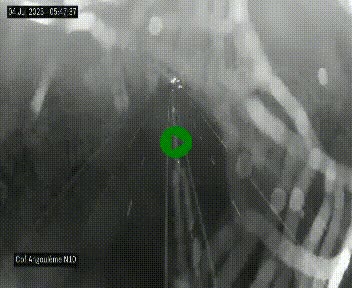 [title]