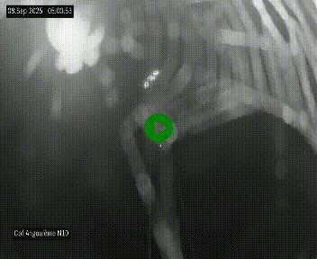 <h2>Webcam routière à la fin de la N10, en périphérique ouest d'Angouleme, proche de la jonction avec l'A10</h2>