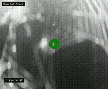 <h2>Webcam routière à la fin de la N10, en périphérique ouest d'Angouleme, proche de la jonction avec l'A10</h2>