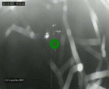 <h2>Webcam routière à la fin de la N10, en périphérique ouest d'Angouleme, proche de la jonction avec l'A10</h2>
