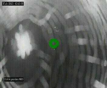 <h2>Webcam routière à la fin de la N10, en périphérique ouest d'Angouleme, proche de la jonction avec l'A10</h2>