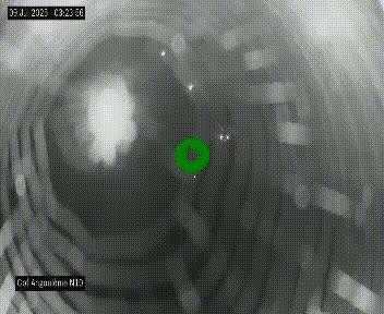 <h2>Webcam routière à la fin de la N10, en périphérique ouest d'Angouleme, proche de la jonction avec l'A10</h2>