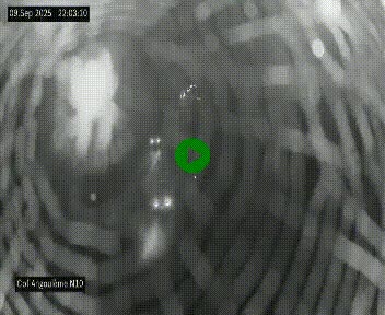 <h2>Webcam routière à la fin de la N10, en périphérique ouest d'Angouleme, proche de la jonction avec l'A10</h2>