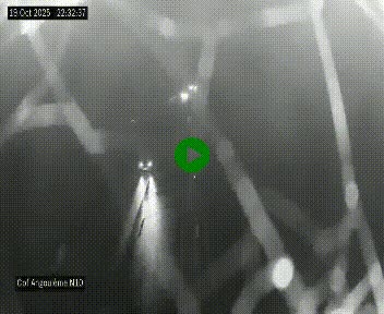 <h2>Webcam routière à la fin de la N10, en périphérique ouest d'Angouleme, proche de la jonction avec l'A10</h2>