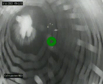 <h2>Webcam routière à la fin de la N10, en périphérique ouest d'Angouleme, proche de la jonction avec l'A10</h2>