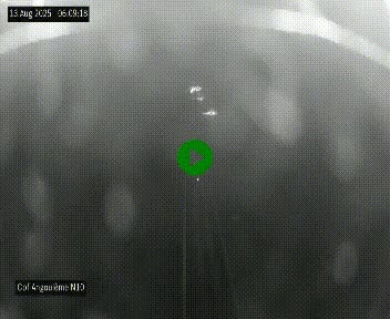 <h2>Webcam routière à la fin de la N10, en périphérique ouest d'Angouleme, proche de la jonction avec l'A10</h2>