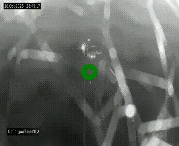 <h2>Webcam routière à la fin de la N10, en périphérique ouest d'Angouleme, proche de la jonction avec l'A10</h2>