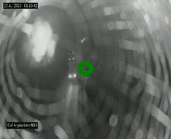 <h2>Webcam routière à la fin de la N10, en périphérique ouest d'Angouleme, proche de la jonction avec l'A10</h2>