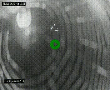 <h2>Webcam routière à la fin de la N10, en périphérique ouest d'Angouleme, proche de la jonction avec l'A10</h2>