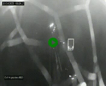 <h2>Webcam routière à la fin de la N10, en périphérique ouest d'Angouleme, proche de la jonction avec l'A10</h2>