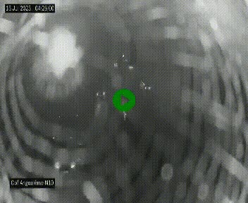 <h2>Webcam routière à la fin de la N10, en périphérique ouest d'Angouleme, proche de la jonction avec l'A10</h2>