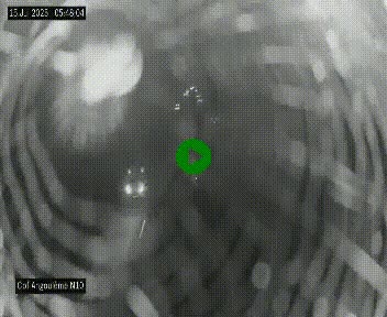 Webcam routière à la fin de la N10, en périphérique ouest d'Angouleme, proche de la jonction avec l'A10