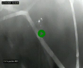 <h2>Webcam routière à la fin de la N10, en périphérique ouest d'Angouleme, proche de la jonction avec l'A10</h2>