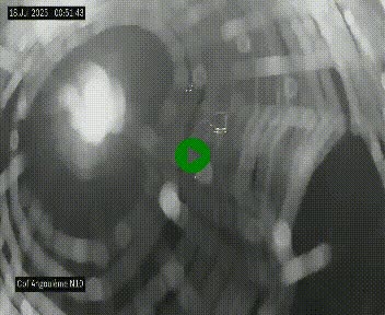 <h2>Webcam routière à la fin de la N10, en périphérique ouest d'Angouleme, proche de la jonction avec l'A10</h2>