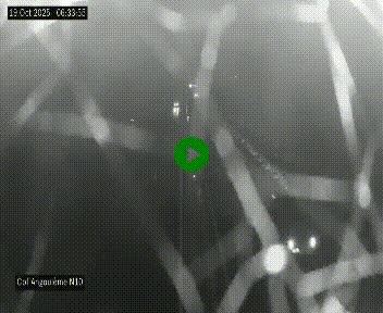 <h2>Webcam routière à la fin de la N10, en périphérique ouest d'Angouleme, proche de la jonction avec l'A10</h2>
