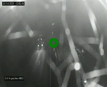 <h2>Webcam routière à la fin de la N10, en périphérique ouest d'Angouleme, proche de la jonction avec l'A10</h2>