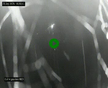 <h2>Webcam routière à la fin de la N10, en périphérique ouest d'Angouleme, proche de la jonction avec l'A10</h2>