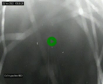 <h2>Webcam routière à la fin de la N10, en périphérique ouest d'Angouleme, proche de la jonction avec l'A10</h2>