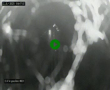 <h2>Webcam routière à la fin de la N10, en périphérique ouest d'Angouleme, proche de la jonction avec l'A10</h2>