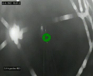 <h2>Webcam routière à la fin de la N10, en périphérique ouest d'Angouleme, proche de la jonction avec l'A10</h2>