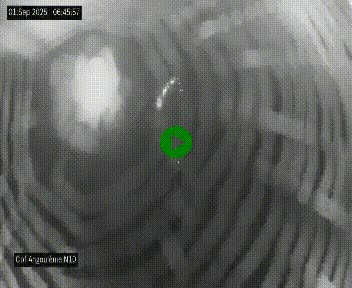 <h2>Webcam routière à la fin de la N10, en périphérique ouest d'Angouleme, proche de la jonction avec l'A10</h2>