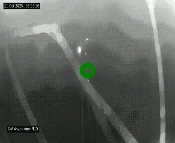 <h2>Webcam routière à la fin de la N10, en périphérique ouest d'Angouleme, proche de la jonction avec l'A10</h2>