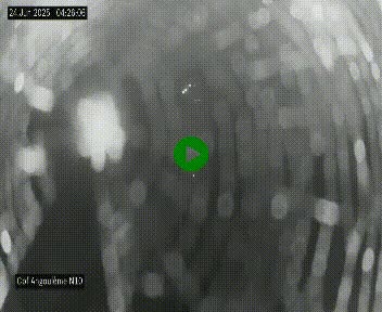 <h2>Webcam routière à la fin de la N10, en périphérique ouest d'Angouleme, proche de la jonction avec l'A10</h2>