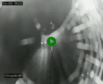<h2>Webcam routière à la fin de la N10, en périphérique ouest d'Angouleme, proche de la jonction avec l'A10</h2>