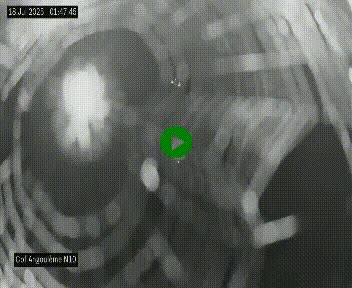 <h2>Webcam routière à la fin de la N10, en périphérique ouest d'Angouleme, proche de la jonction avec l'A10</h2>