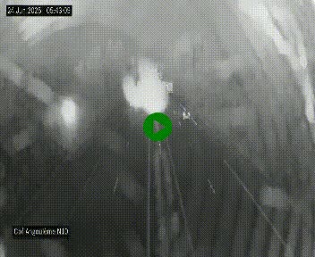 <h2>Webcam routière à la fin de la N10, en périphérique ouest d'Angouleme, proche de la jonction avec l'A10</h2>