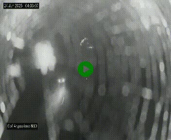 <h2>Webcam routière à la fin de la N10, en périphérique ouest d'Angouleme, proche de la jonction avec l'A10</h2>