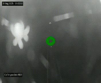 <h2>Webcam routière à la fin de la N10, en périphérique ouest d'Angouleme, proche de la jonction avec l'A10</h2>