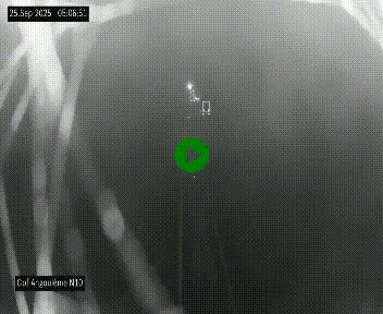 <h2>Webcam routière à la fin de la N10, en périphérique ouest d'Angouleme, proche de la jonction avec l'A10</h2>