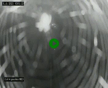 <h2>Webcam routière à la fin de la N10, en périphérique ouest d'Angouleme, proche de la jonction avec l'A10</h2>