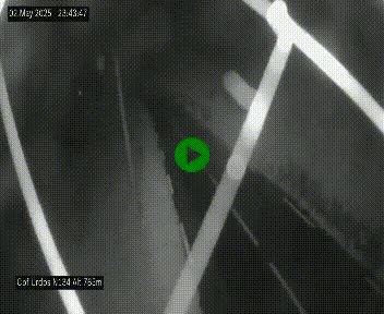 Webcam dans les Pyrénées Atlantique à Urdos sur la N134, en direction du Col et du tunnel du Somport, à 765 mètres d'altitude