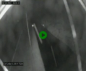 <h2>Webcam dans les Pyrénées Atlantique au niveau du col d'Urdos et du fort du Pourtalet sur la N134, en direction du Col et du tunnel du Somport, à 765 mètres d'altitude</h2>