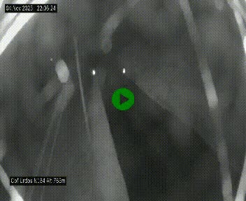 <h2>Webcam dans les Pyrénées Atlantique au niveau du col d'Urdos et du fort du Pourtalet sur la N134, en direction du Col et du tunnel du Somport, à 765 mètres d'altitude</h2>