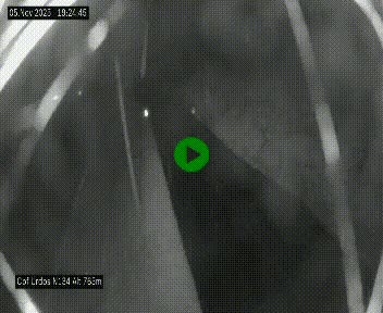 <h2>Webcam dans les Pyrénées Atlantique au niveau du col d'Urdos et du fort du Pourtalet sur la N134, en direction du Col et du tunnel du Somport, à 765 mètres d'altitude</h2>