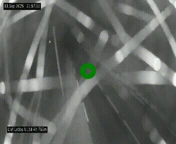 <h2>Webcam dans les Pyrénées Atlantique au niveau du col d'Urdos et du fort du Pourtalet sur la N134, en direction du Col et du tunnel du Somport, à 765 mètres d'altitude</h2>