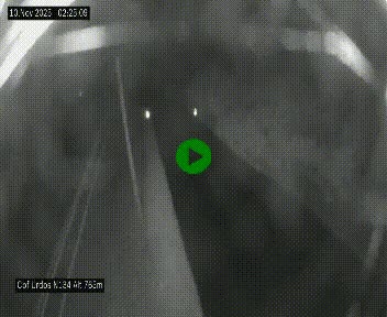 <h2>Webcam dans les Pyrénées Atlantique au niveau du col d'Urdos et du fort du Pourtalet sur la N134, en direction du Col et du tunnel du Somport, à 765 mètres d'altitude</h2>