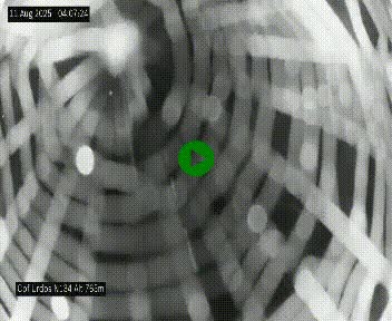 <h2>Webcam dans les Pyrénées Atlantique au niveau du col d'Urdos et du fort du Pourtalet sur la N134, en direction du Col et du tunnel du Somport, à 765 mètres d'altitude</h2>
