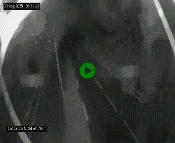<h2>Webcam dans les Pyrénées Atlantique au niveau du col d'Urdos et du fort du Pourtalet sur la N134, en direction du Col et du tunnel du Somport, à 765 mètres d'altitude</h2>