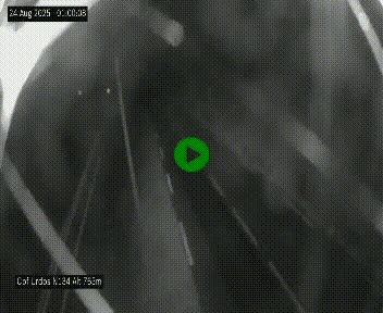 <h2>Webcam dans les Pyrénées Atlantique au niveau du col d'Urdos et du fort du Pourtalet sur la N134, en direction du Col et du tunnel du Somport, à 765 mètres d'altitude</h2>