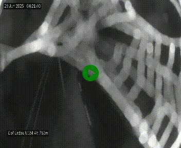 Webcam dans les Pyrénées Atlantique au niveau du col d'Urdos et du fort du Pourtalet sur la N134, en direction du Col et du tunnel du Somport, à 765 mètres d'altitude
