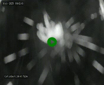 Webcam dans les Pyrénées Atlantique au niveau du col d'Urdos et du fort du Pourtalet sur la N134, en direction du Col et du tunnel du Somport, à 765 mètres d'altitude